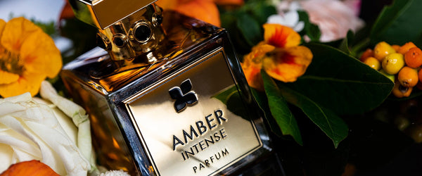 Amber intense fragrance online du bois