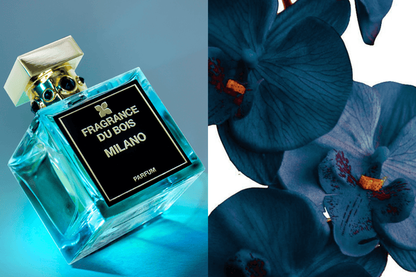 The Best Autumn/Winter Scents – Fashion Capitals by Fragrance Du Bois