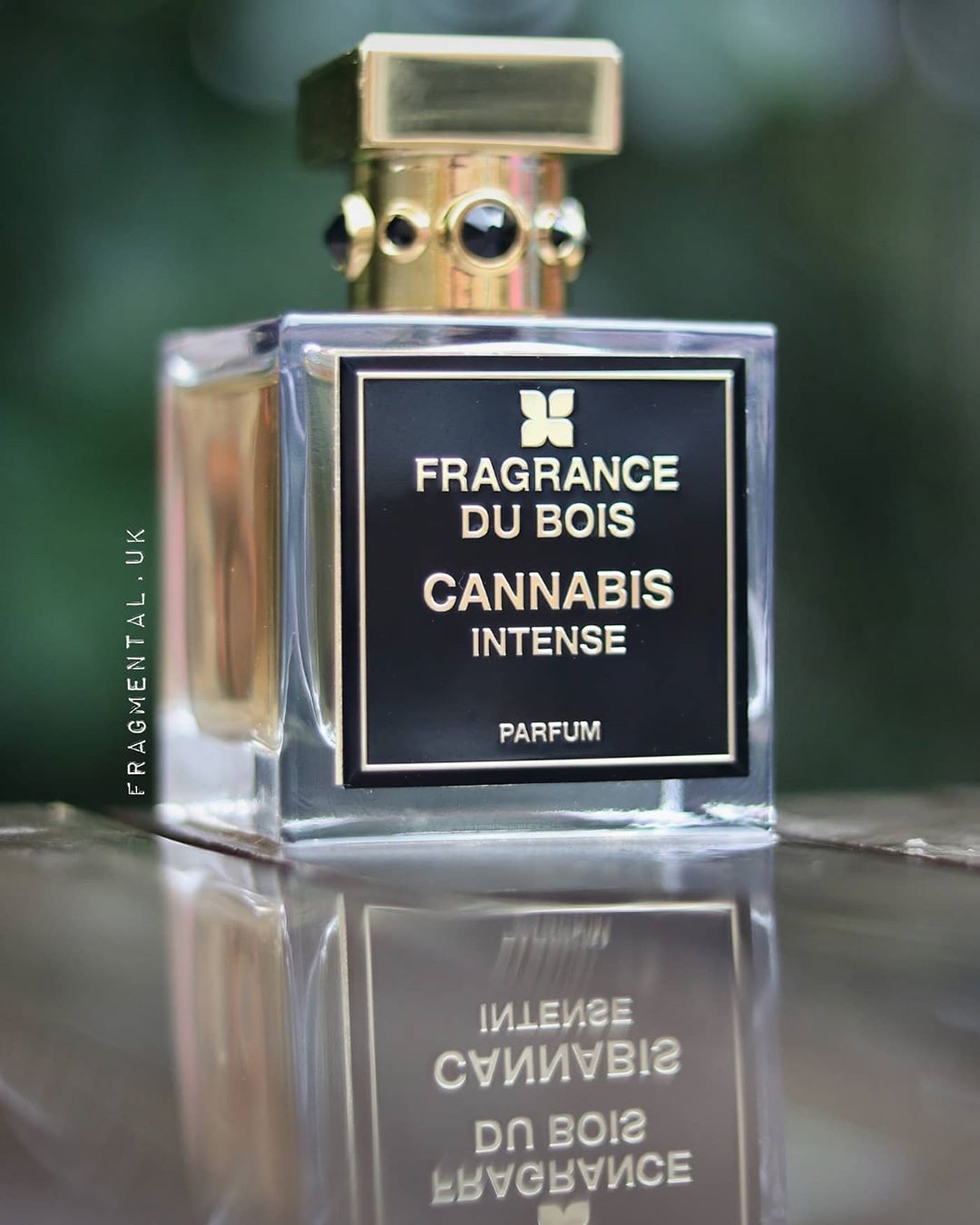 CANNABIS INTENSE